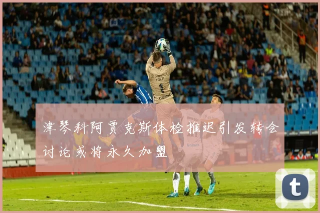 津琴科阿贾克斯体检推迟引发转会讨论或将永久加盟