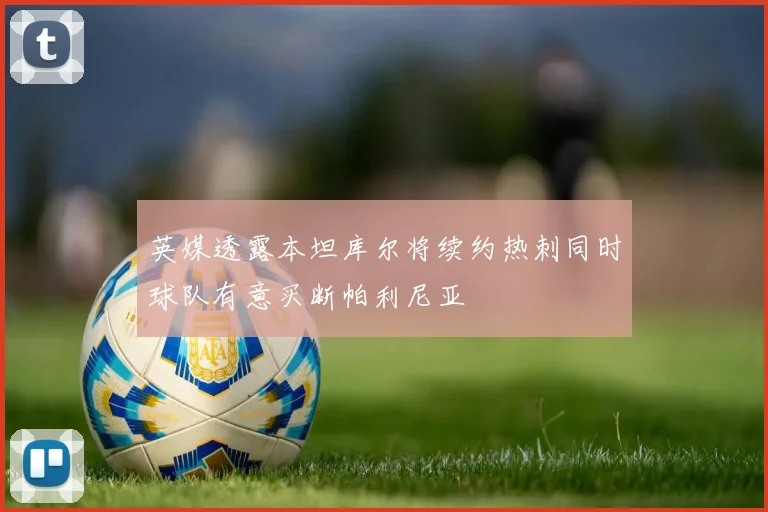 英媒透露本坦库尔将续约热刺同时球队有意买断帕利尼亚